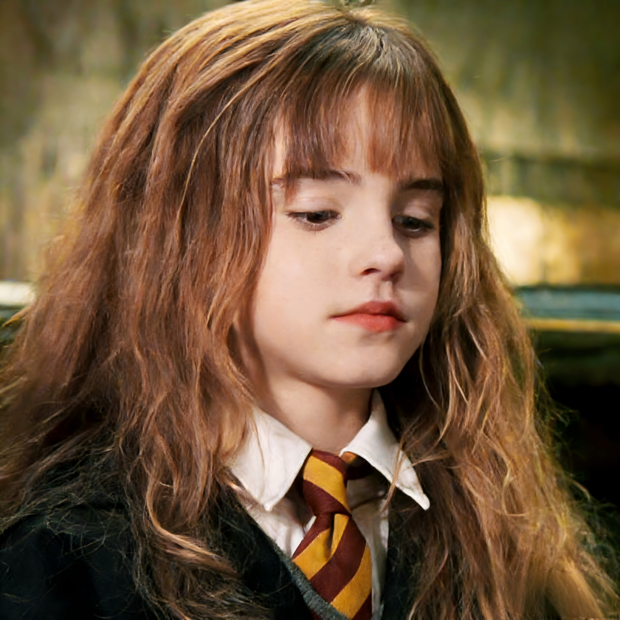 Hermione's Wonderful Journey